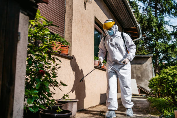 Best Cockroach Control Services  in Melissa, TX