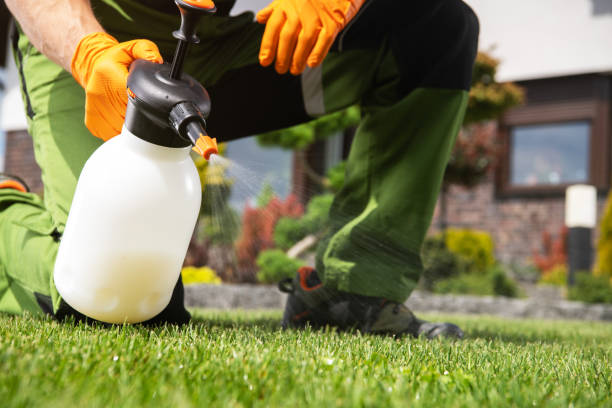 Best Best Pest Control Companies  in Melissa, TX