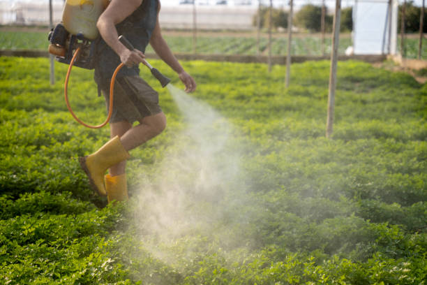 Best Affordable Pest Control Services  in Melissa, TX