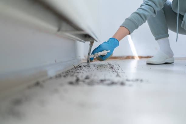 Best Pest Control for Homes  in Melissa, TX
