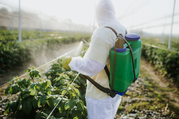 Best Pest Prevention Services  in Melissa, TX
